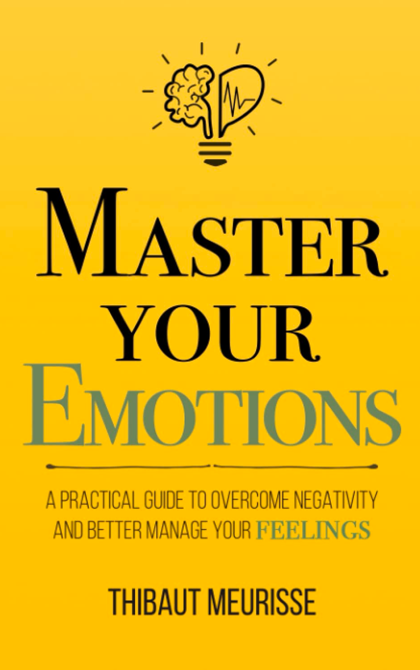 Thibaut Meurisse - Master Your Emotions